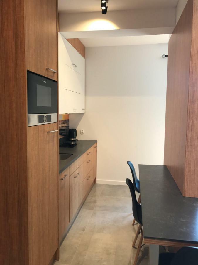 Apartament Jagielonska 42 コウォブジェク エクステリア 写真