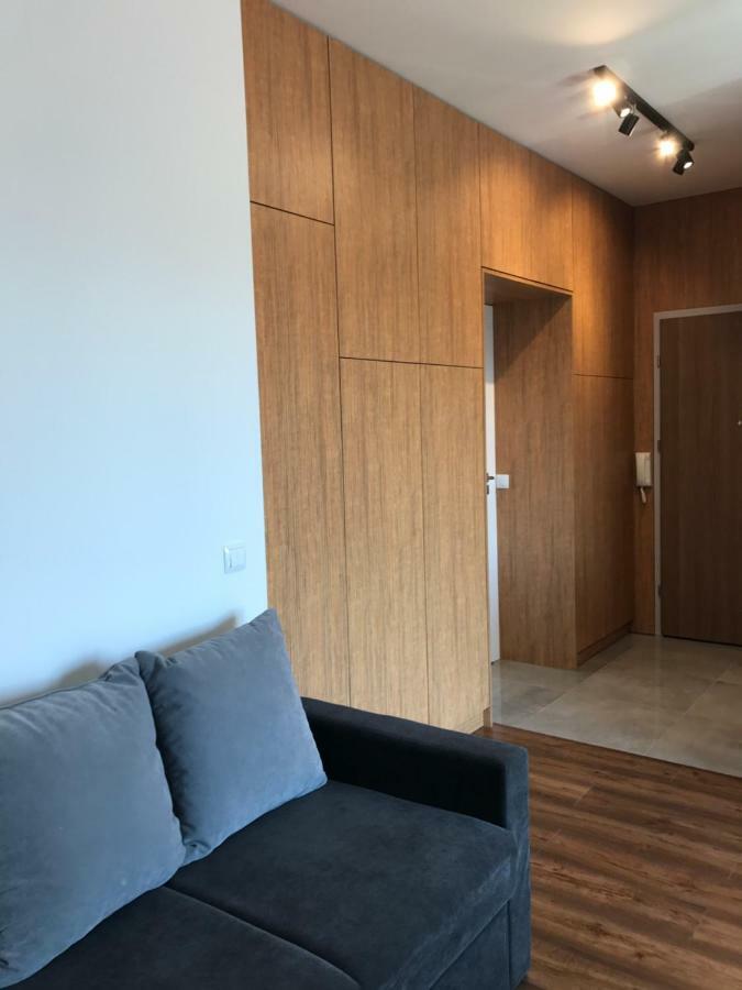 Apartament Jagielonska 42 コウォブジェク エクステリア 写真